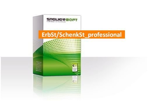ErbSt/SchenkSt_professional VZ 2023 inkl. Vorjahre