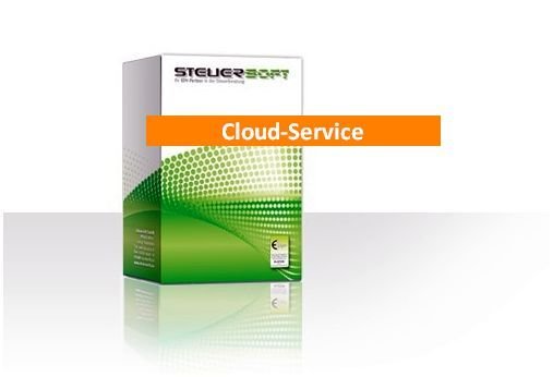 Steuersoft-Cloud I_ professional (Backup Sicherung)